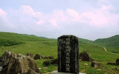 務(wù)川縣栗園草場